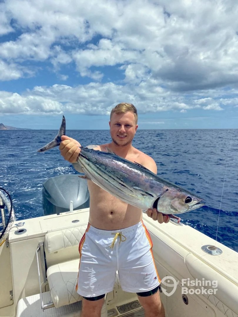 018f4456eb1683aae1da08492a4f707a