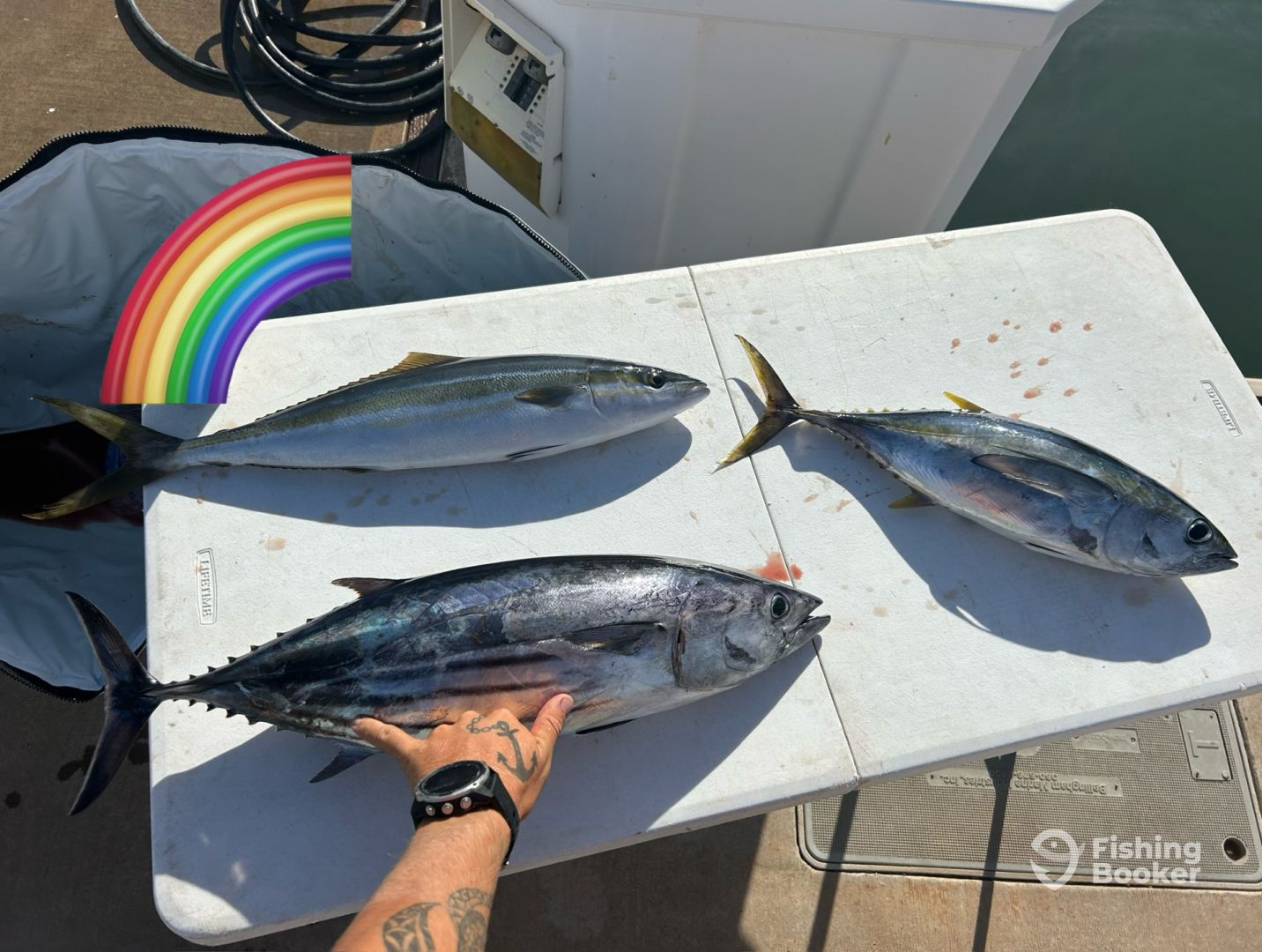 06e14e5ea8569f0f9caa1f1342d31d2b