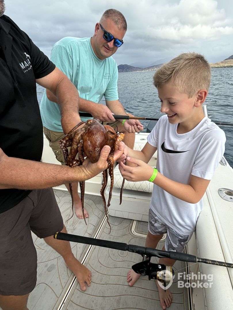 0bf3501174756edb4f0f9b0cec5b8dd5