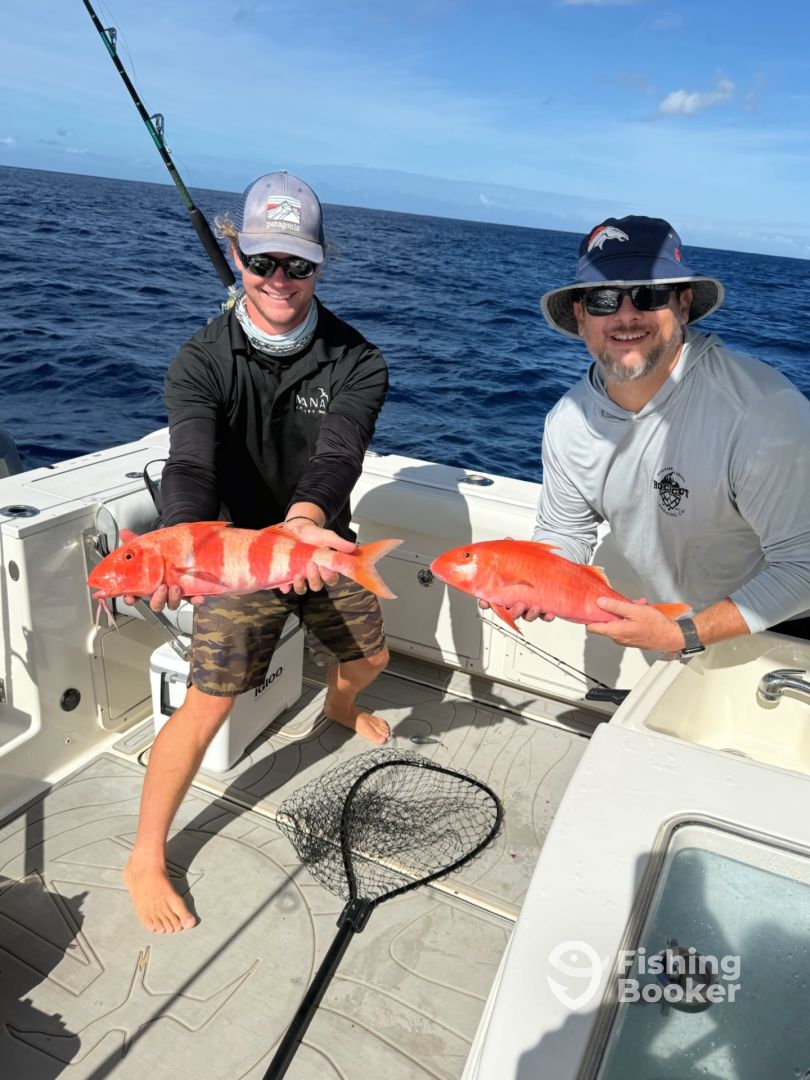 11af798e356fdf87a86a14c352fbc3a7