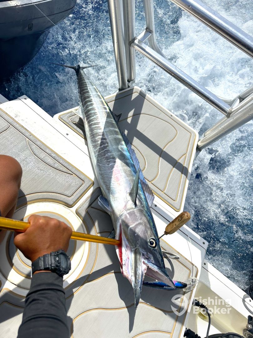 36a0923328e3e617dca70a4fef3e2db5