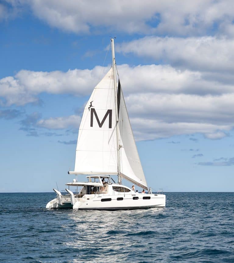 MANA-056-scaled-e1664912889806-768×863