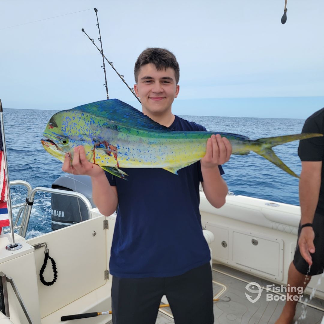 a7e2e5c1ae5763f578dad1c7df1aa582