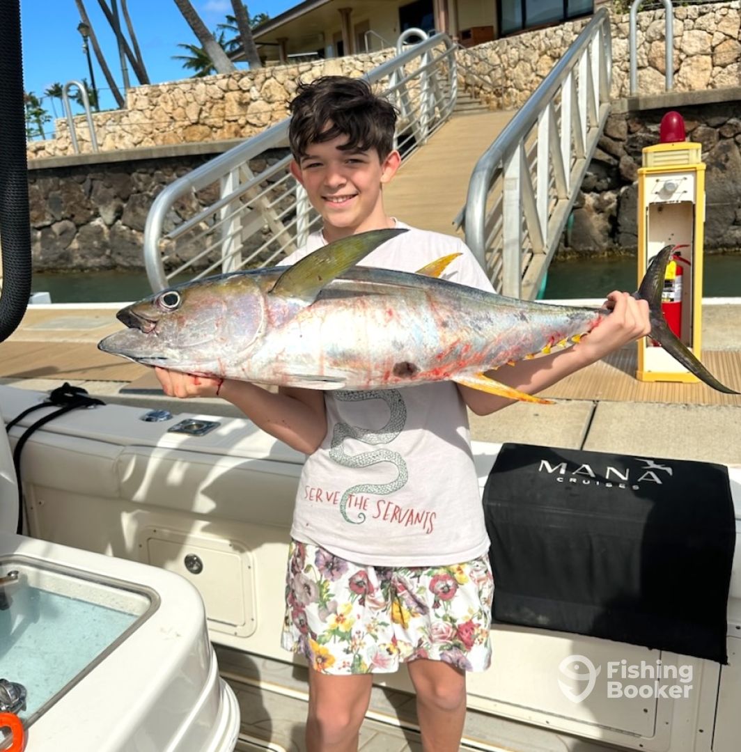 b51c973754fc3531fb07352e90dbb053