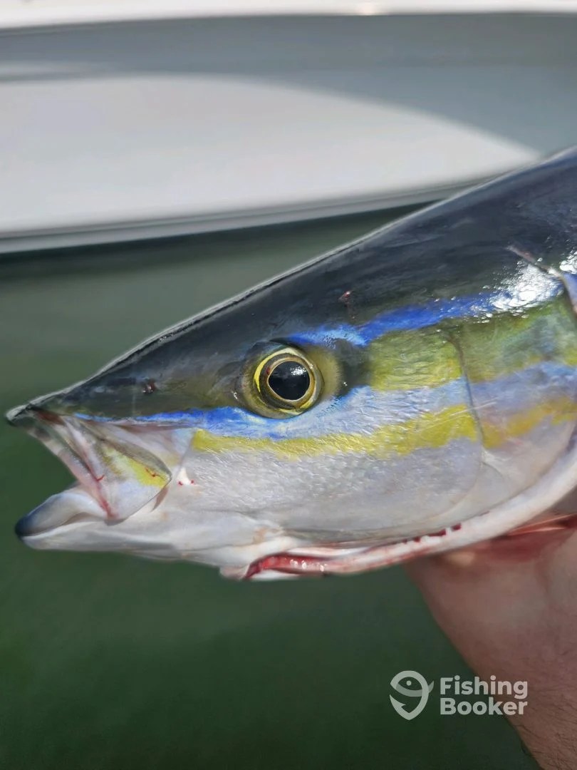 b7e00b9287767f7a96752e97ac355135