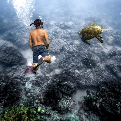 Underwater view of a snorkeler swimming near a sea turtle over a rocky seabed.